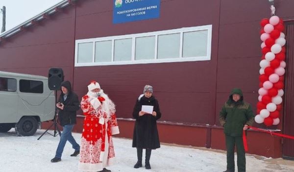 В Игринском районе Удмуртии запустили первую роботизированную ферму