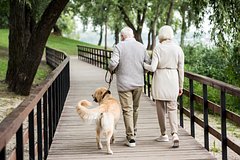 Блогерша побывала в Европе и сравнила жизнь местных пенсионеров с жизнью российских