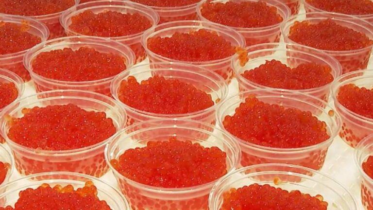 Трампу через Уиткоффа передали ящик красной икры из Хабаровского края