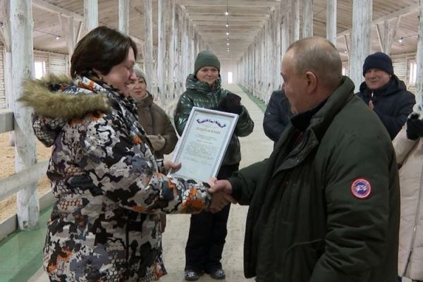 Преумножение фермы с господдержкой — опыт хозяйства из Иркутской области