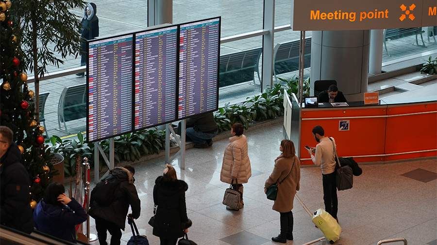 В аэропортах Домодедово и Жуковский приостановили полеты самолетов