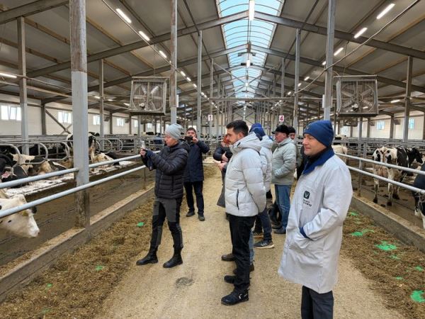 Минсельхоз изучает нейростимуляцию: Ольга Абрамова озвучила первые результаты проекта «Нейророга»