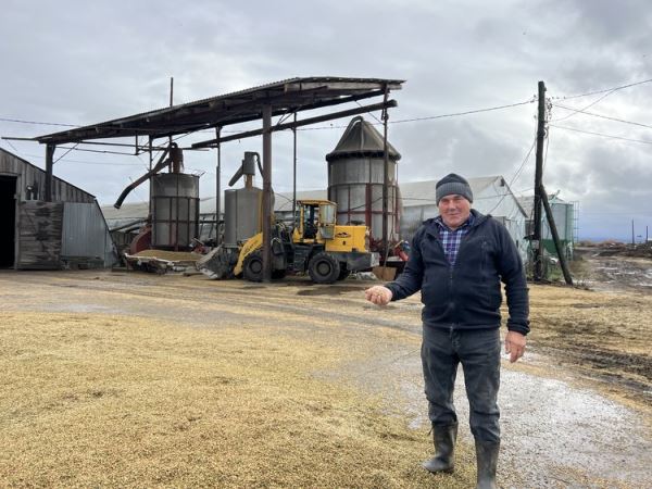 Племрепродуктор «Рубин» признан лучшим сельхозпредприятием Бурятии в 2025 году