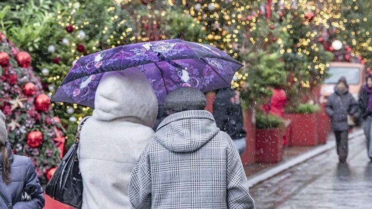 Синоптики спрогнозировали снег и до +2 градусов в Москве 26 декабря