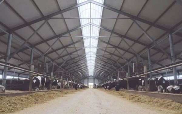 В Башкортостане проблем с кормами на зимовку не будет