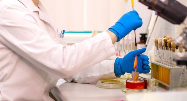 Почему диастазное число в меде бывает низким