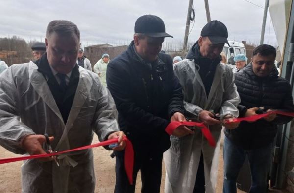 В вологодской деревне доить коров будут отечественные &laquo;Волшебники&raquo;