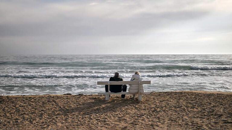 В России запустят масштабный проект по сохранению экосистем Черного моря