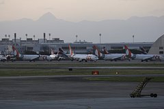 Страна Латинской Америки захотела стать хабом для россиян