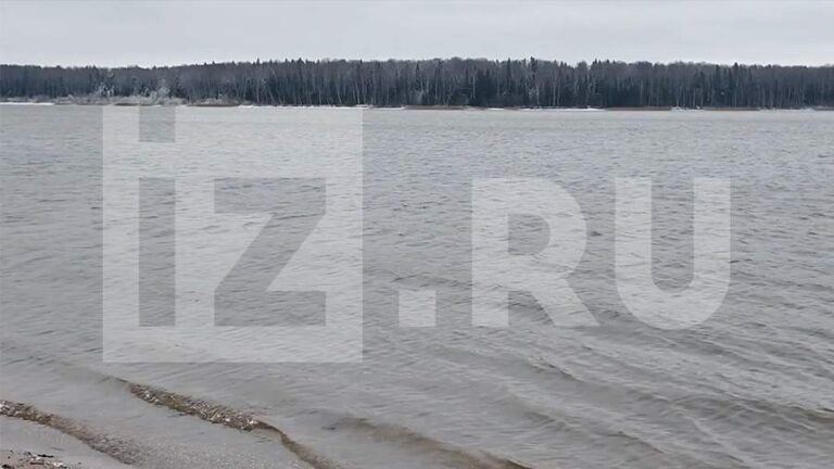 Обнаружено тело одного погибшего при крушении Ан-22 в Ивановской области