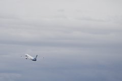 Пассажир с галлюцинациями попытался открыть дверь самолета на высоте пять тысяч метров